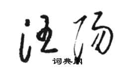 骆恒光汪阳草书个性签名怎么写
