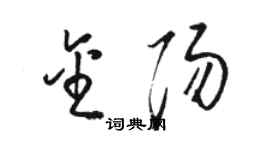 骆恒光金阳草书个性签名怎么写