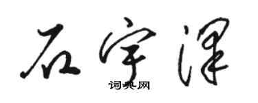 骆恒光石宇泽草书个性签名怎么写