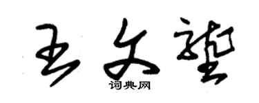 朱锡荣王文垄草书个性签名怎么写
