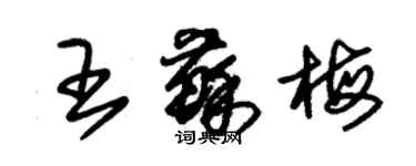 朱锡荣王苏梅草书个性签名怎么写
