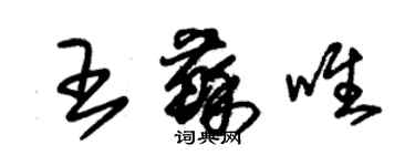 朱锡荣王苏唯草书个性签名怎么写