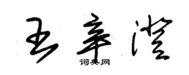 朱锡荣王辛澄草书个性签名怎么写