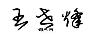 朱锡荣王世烽草书个性签名怎么写