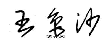 朱锡荣王鲁沙草书个性签名怎么写