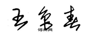 朱锡荣王鲁春草书个性签名怎么写