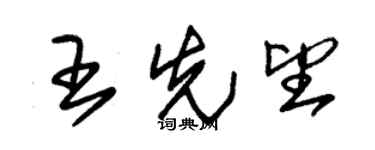 朱锡荣王先望草书个性签名怎么写