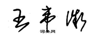 朱锡荣王韦微草书个性签名怎么写