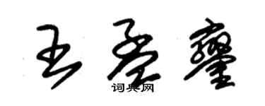 朱锡荣王孟銮草书个性签名怎么写