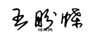 朱锡荣王盼蝶草书个性签名怎么写