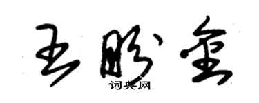 朱锡荣王盼金草书个性签名怎么写