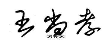 朱锡荣王尚孝草书个性签名怎么写