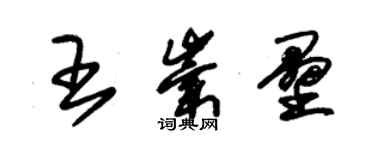朱锡荣王崇垒草书个性签名怎么写
