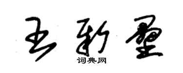 朱锡荣王新垒草书个性签名怎么写