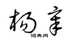 曾庆福杨章草书个性签名怎么写