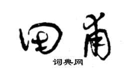 曾庆福田甫草书个性签名怎么写