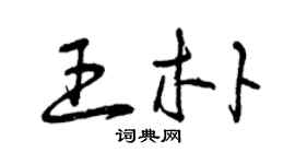 曾庆福王朴草书个性签名怎么写