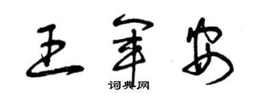 曾庆福王军安草书个性签名怎么写