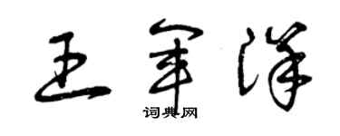 曾庆福王军洋草书个性签名怎么写