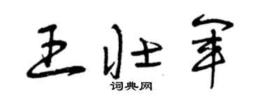 曾庆福王壮军草书个性签名怎么写