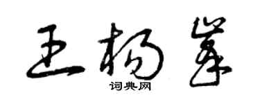 曾庆福王杨峰草书个性签名怎么写
