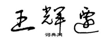 曾庆福王辉迁草书个性签名怎么写