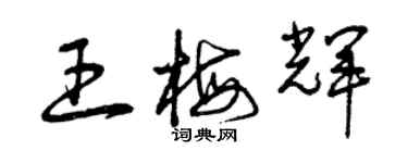 曾庆福王梅辉草书个性签名怎么写