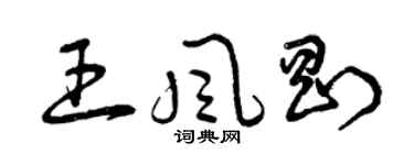 曾庆福王风刚草书个性签名怎么写