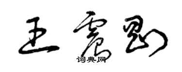 曾庆福王震刚草书个性签名怎么写