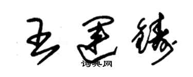 朱锡荣王运铸草书个性签名怎么写