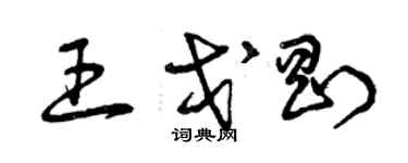 曾庆福王戈刚草书个性签名怎么写