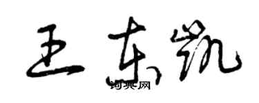 曾庆福王东凯草书个性签名怎么写