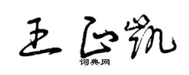 曾庆福王正凯草书个性签名怎么写