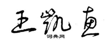 曾庆福王凯惠草书个性签名怎么写