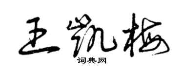 曾庆福王凯梅草书个性签名怎么写