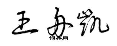 曾庆福王舟凯草书个性签名怎么写