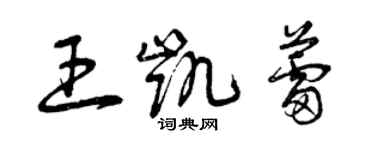 曾庆福王凯蕾草书个性签名怎么写
