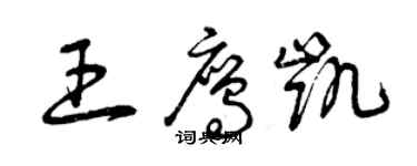 曾庆福王鹰凯草书个性签名怎么写