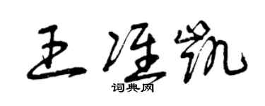 曾庆福王准凯草书个性签名怎么写