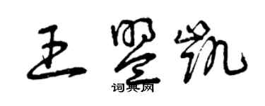 曾庆福王盟凯草书个性签名怎么写