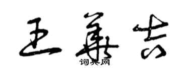 曾庆福王华吉草书个性签名怎么写