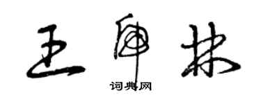 曾庆福王虎林草书个性签名怎么写