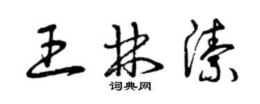 曾庆福王林洁草书个性签名怎么写