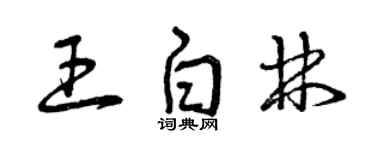 曾庆福王白林草书个性签名怎么写
