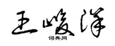曾庆福王峻洋草书个性签名怎么写