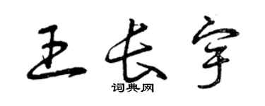曾庆福王长宇草书个性签名怎么写