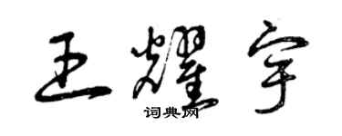 曾庆福王耀宇草书个性签名怎么写