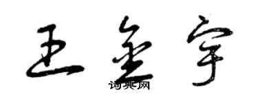 曾庆福王金宇草书个性签名怎么写