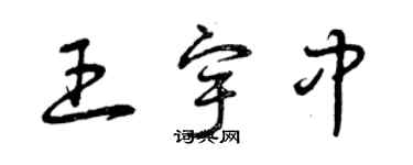 曾庆福王宇中草书个性签名怎么写