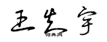 曾庆福王知宇草书个性签名怎么写